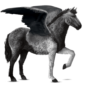 pegaso de montar peruano de paso overo