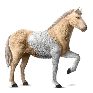 caballo de montar rizado pío tobiano palomino