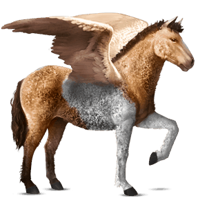 pegaso de montar nokota pío alazán overo