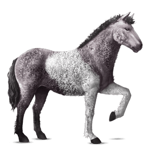 caballo de montar pura raza española gris ratón
