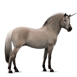 unicornio poni fjord gra