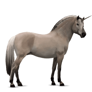 unicornio poni fjord rodblakk