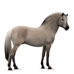 poni shetland alazán crines lava