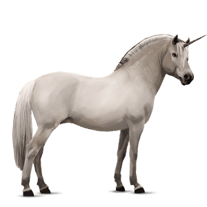 unicornio poni poni de silla belga bayo