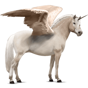 unicornio poni alado  fjord brunblakk