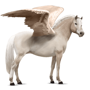 poni pegaso fjord brunblakk