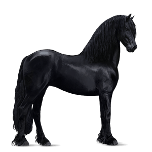 caballo de montar cremello