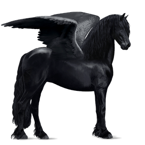pegaso de montar cuarto de milla negro