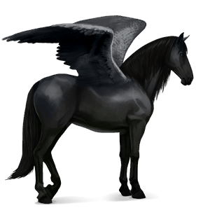 pegaso de montar pura raza española gris claro