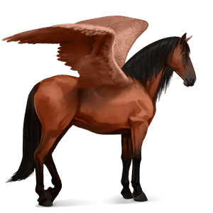 pegaso de montar gris tordo