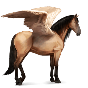 pegaso de montar pura raza española gris tordo