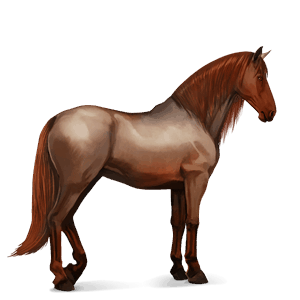 caballo de montar alazán crines lava