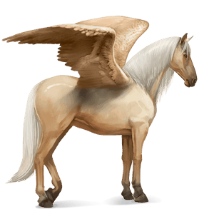 pegaso de montar pura raza española palomino