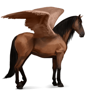 pegaso de montar pura raza española bayo cereza