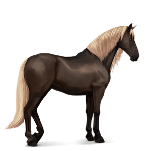 caballo de montar pura raza española gris tordo