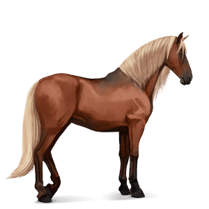 caballo de montar pura raza española gris tordo