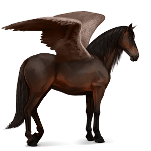 pegaso de montar bayo tostado