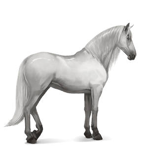 caballo de montar pura raza española gris claro