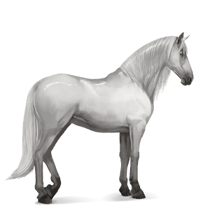 caballo de montar lusitano gris claro