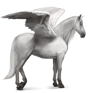 pegaso de montar gris claro