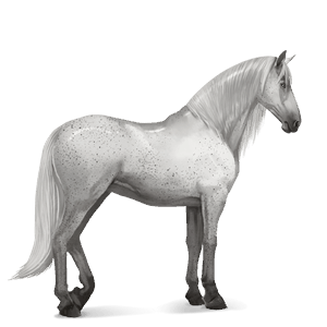 caballo de montar lusitano gris claro