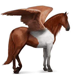 pegaso de montar criollo argentino pío tobiano alazán