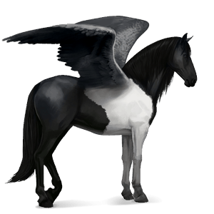 pegaso de montar pura raza española gris claro