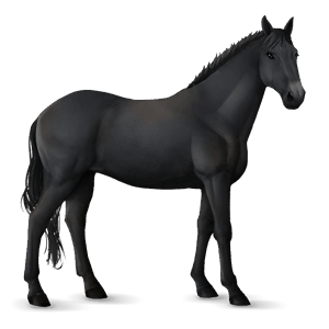 caballo de montar lusitano bayo tostado