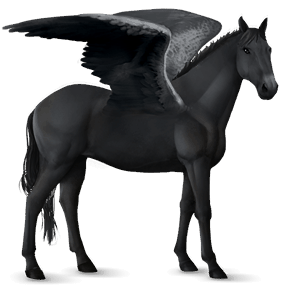 pegaso de montar pura sangre negro
