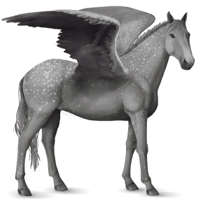 pegaso de montar knabstrupper snowflake alazán