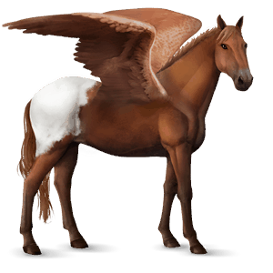 pegaso de montar criollo argentino isabelo
