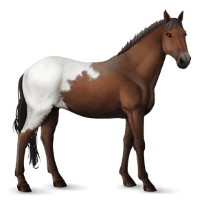poni poni highland alazán tostado