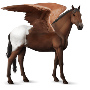 pegaso de montar akhal-teke cremello