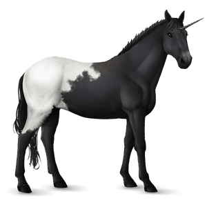 unicornio de montar knabstrupper blanket negro