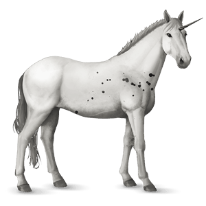 unicornio de montar pura raza española gris tordo