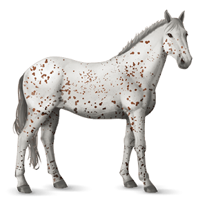 caballo de montar pura raza española bayo cereza