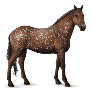 caballo de montar tennessee walker bayo tostado
