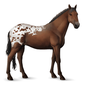 caballo de montar tennessee walker bayo tostado