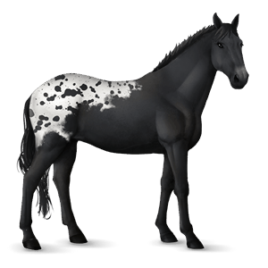 caballo de tiro shire negro