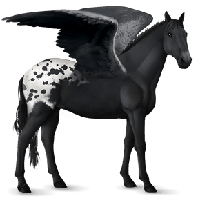 pegaso de montar tennessee walker gris claro