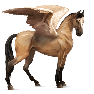 pegaso de montar marwary isabelo