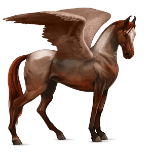 pegaso de montar pura raza española bayo cereza