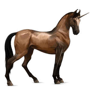 unicornio de montar kwpn bayo