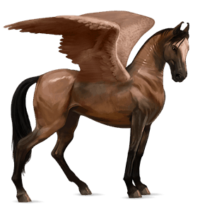pegaso de montar marwary bayo