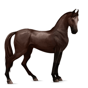 caballo de montar lusitano alazán
