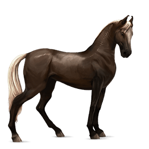 caballo de montar roano