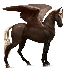 pegaso de montar marwary isabelo