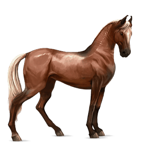 caballo de montar cuarto de milla alazán crines lava