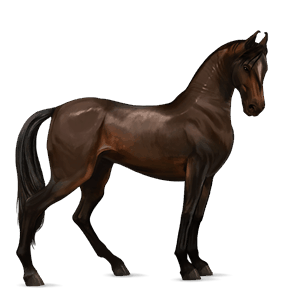 caballo de montar pura raza española alazán