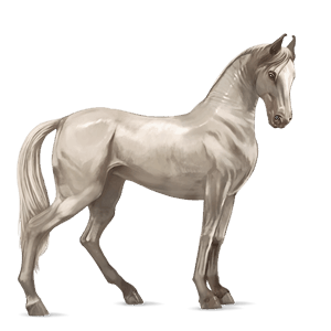 caballo de montar peruano de paso cremello